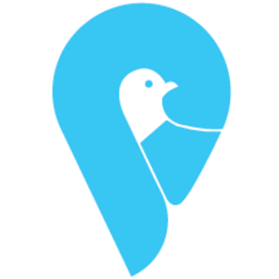 Pigeon Innovative Solutions logo